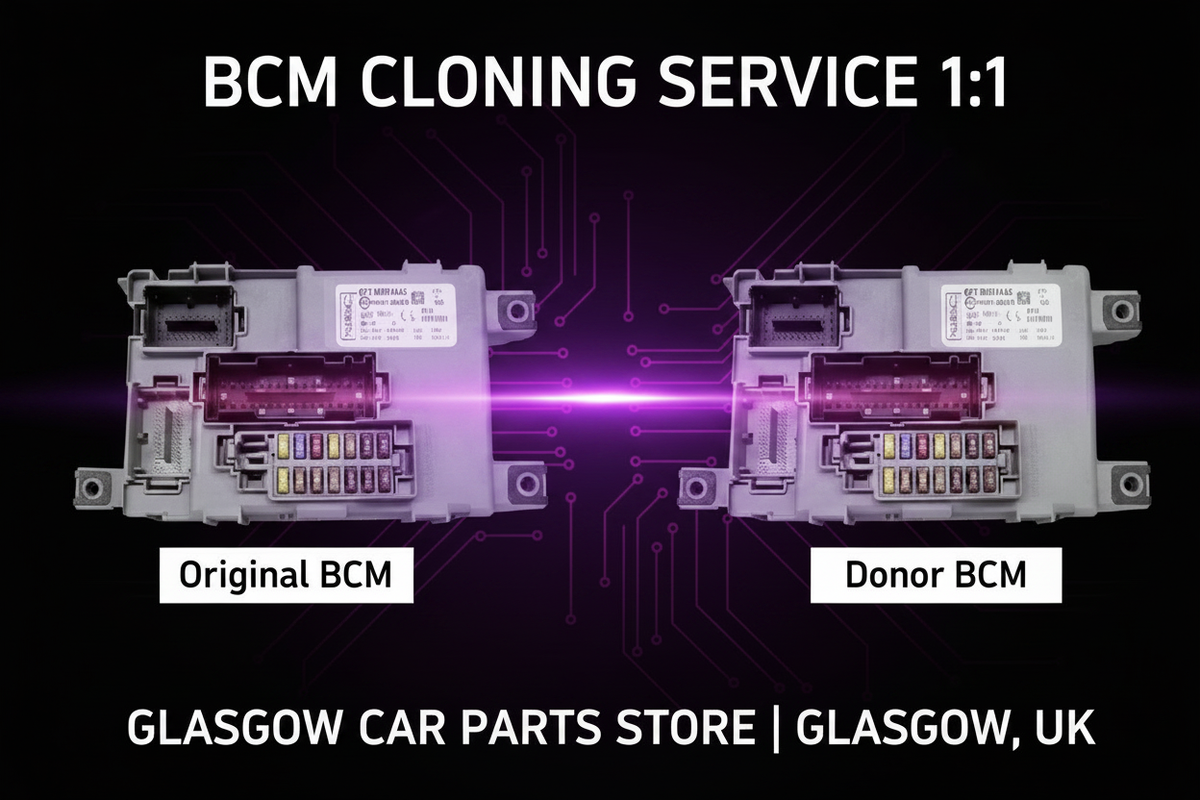 BCM Cloning Service – Purple