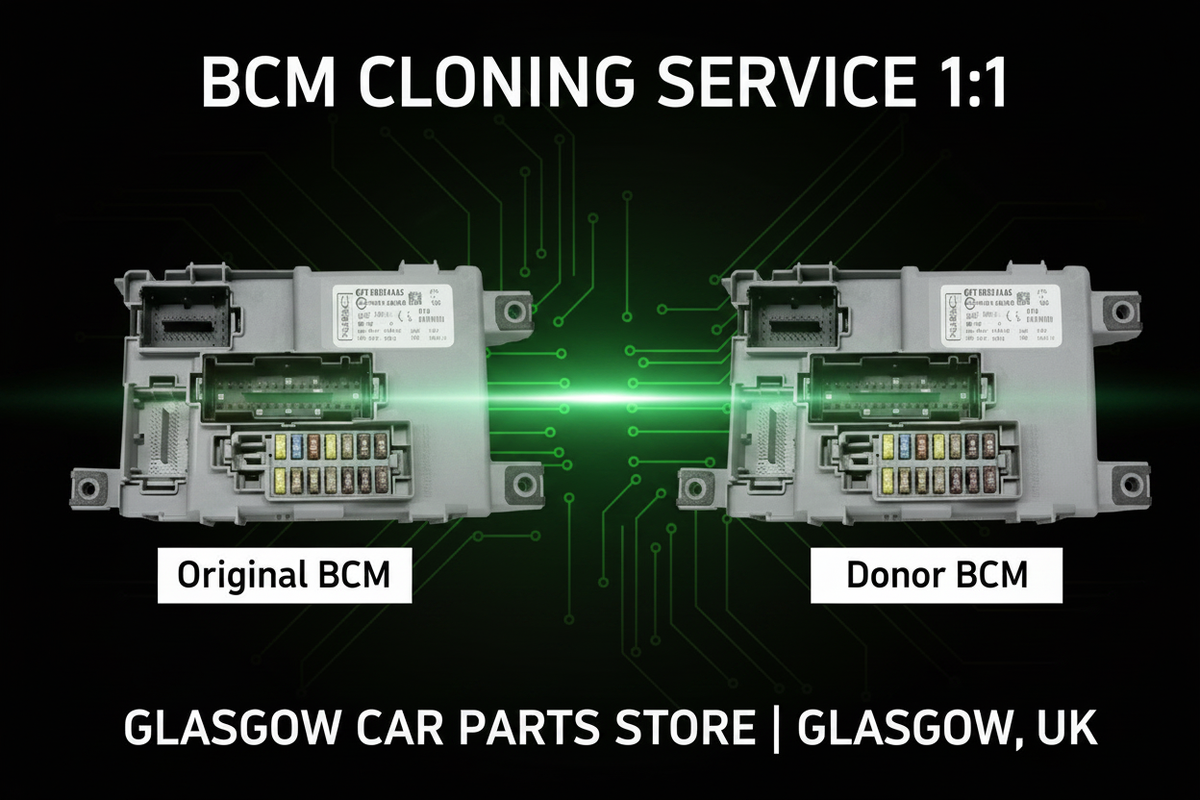 BCM Cloning Service – Emerald